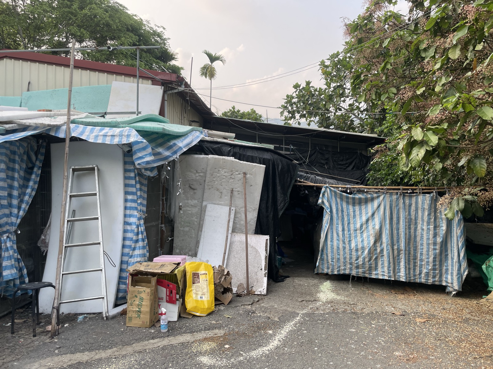 南投山上的貓園外觀